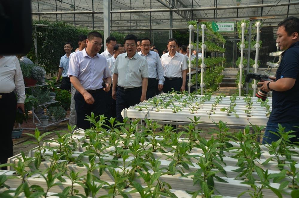 科技助農(nóng)，播撒光的種子  精準(zhǔn)扶貧，助力鄉(xiāng)村振興